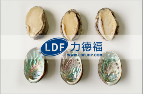 鲍鱼脱壳效果.png 鲍鱼脱壳效果.png